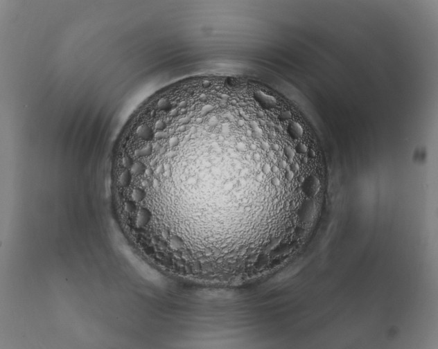 X0000112361083200908201457