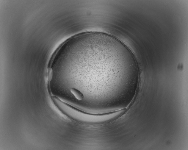 X0000112361084200908201457