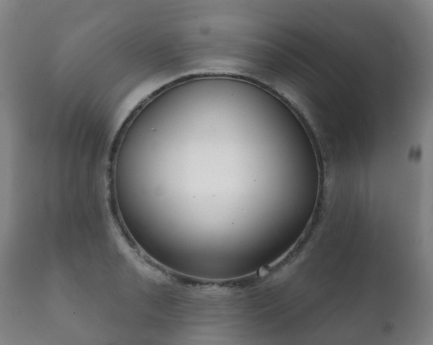 X0000112361085200908201457