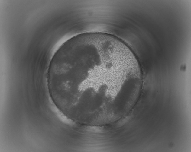 X0000112361086200908201457