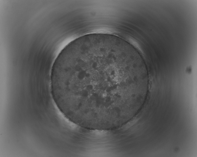 X0000112361087200908201457