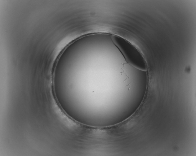 X0000112361088200908201457