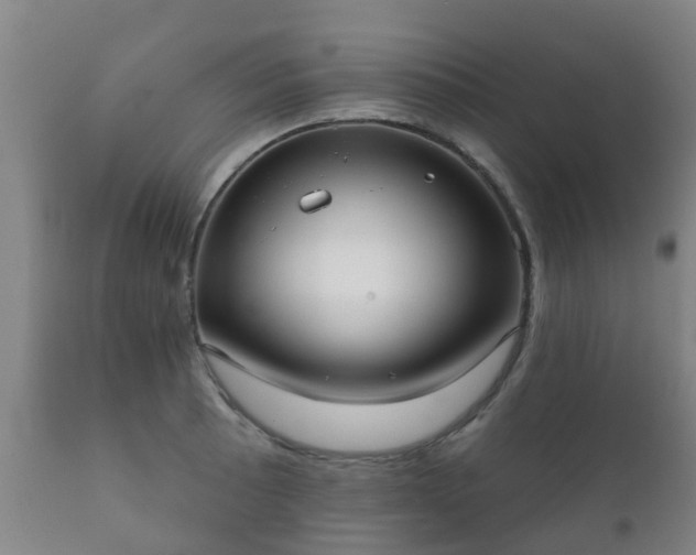 X0000112361089200908201457