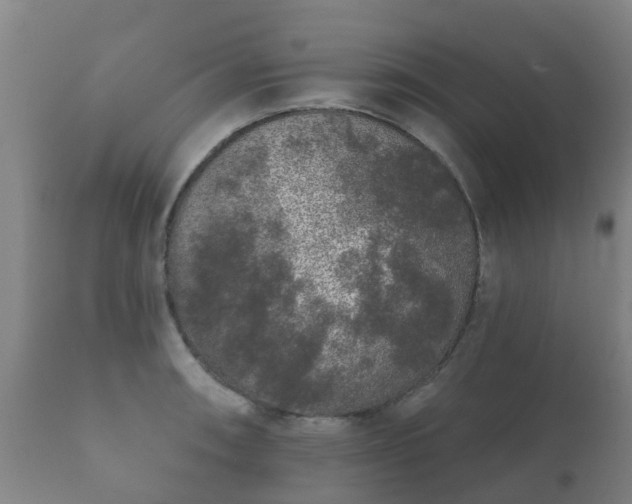 X0000112361090200908201457