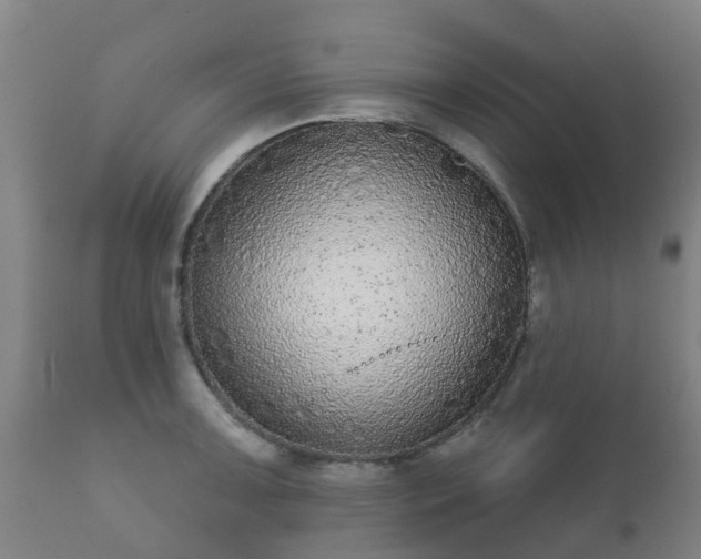 X0000112361091200908201457