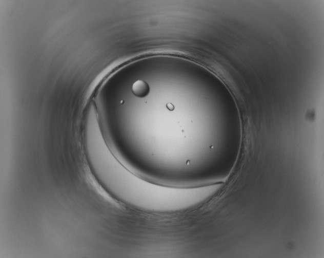 X0000112361092200908201457