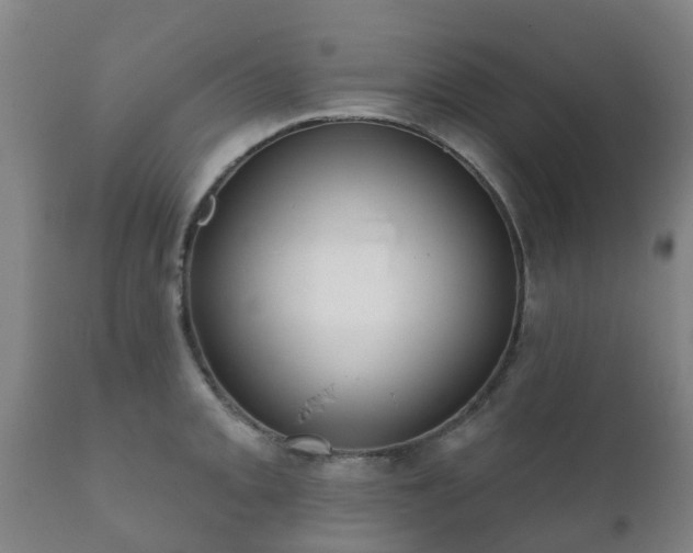 X0000112361093200908201457