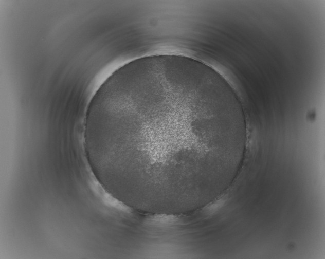 X0000112361094200908201457