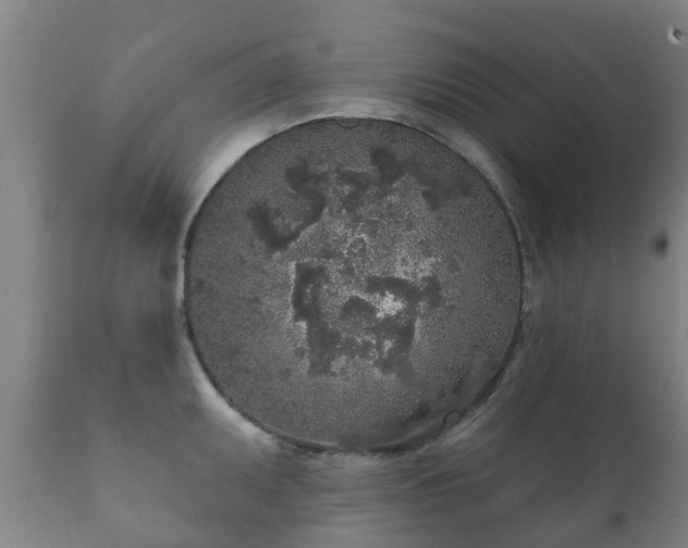 X0000112361095200908201457