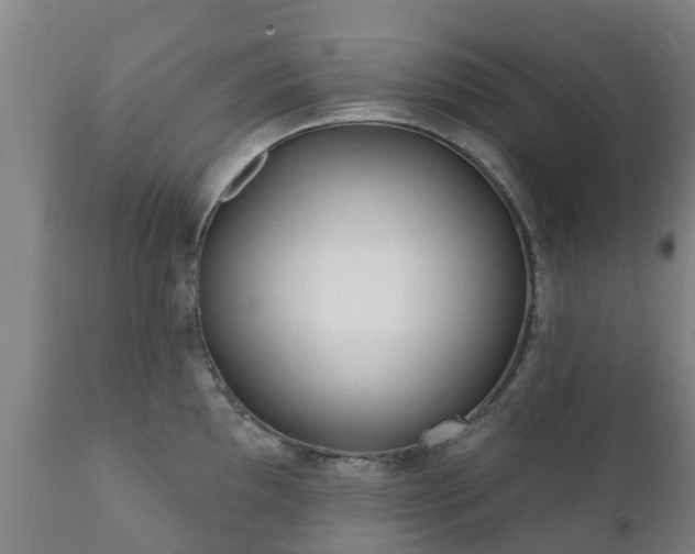 X0000112361097200908201457