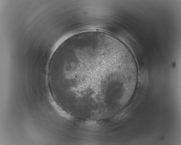 X0000112361098200908201457