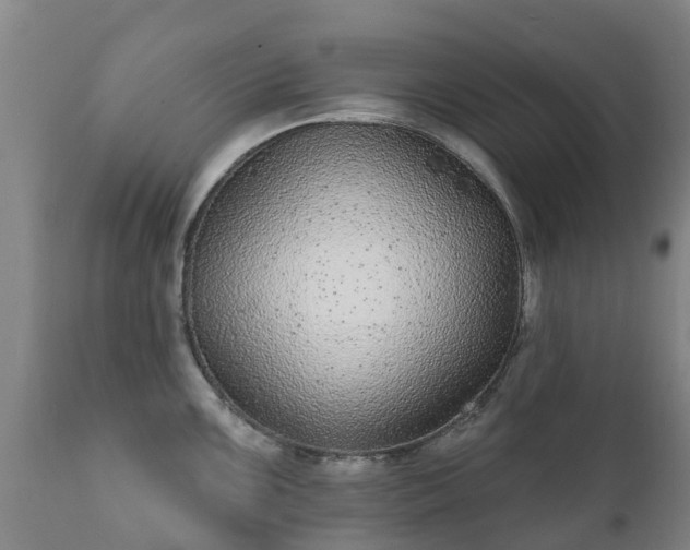 X0000112361099200908201457