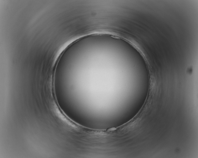 X0000112361100200908201457