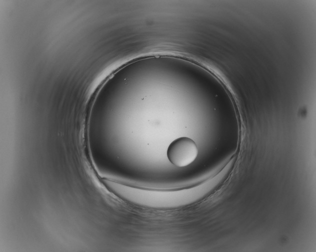 X0000112361101200908201457