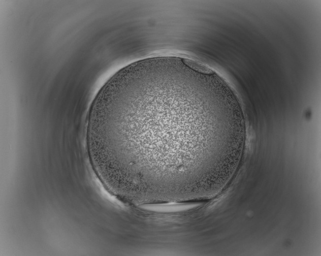 X0000112361102200908201457