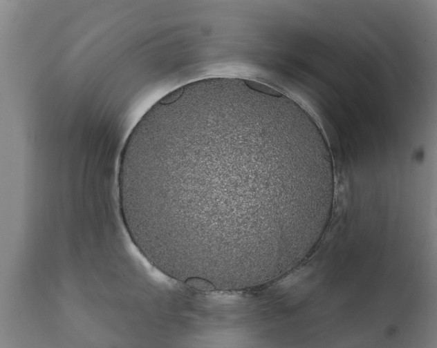 X0000112361103200908201457