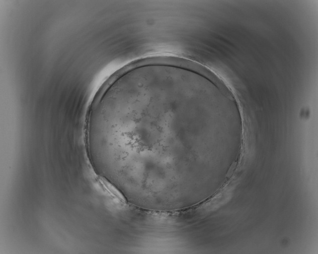 X0000112361104200908201457