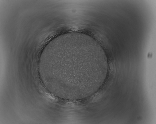 X0000112361105200908201456