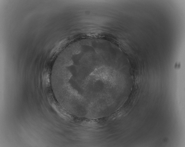 X0000112361106200908201456