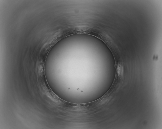 X0000112361107200908201456