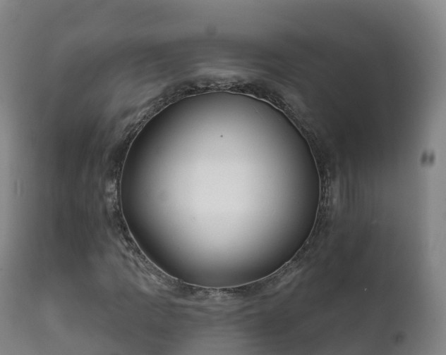 X0000112361109200908201456