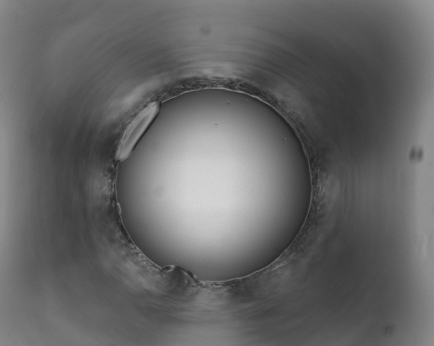 X0000112361110200908201456