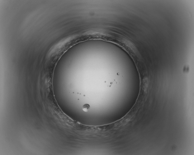 X0000112361111200908201456