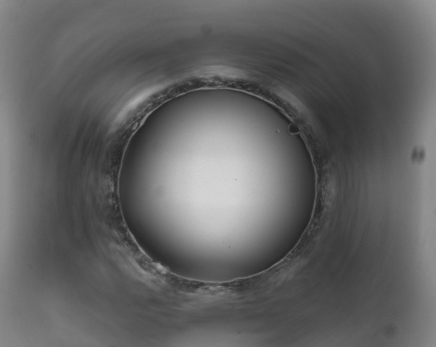 X0000112361112200908201456