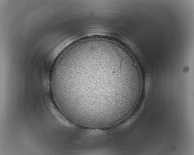 X0000112361113200908201456