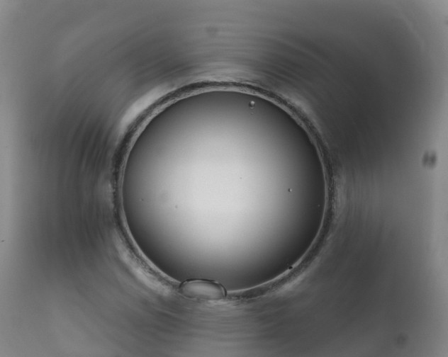 X0000112361114200908201456