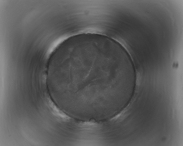 X0000112361115200908201456