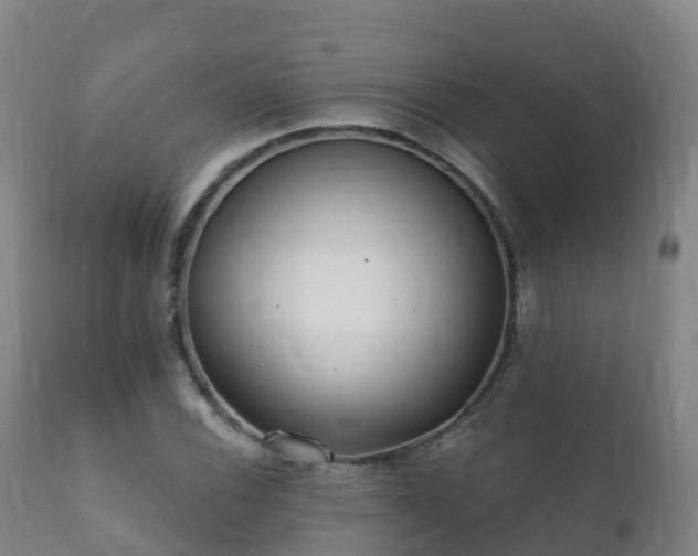 X0000112361116200908201456