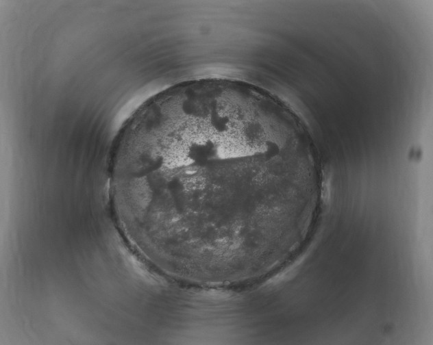 X0000112361117200908201456