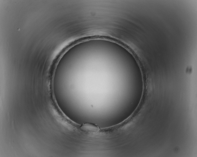 X0000112361118200908201456