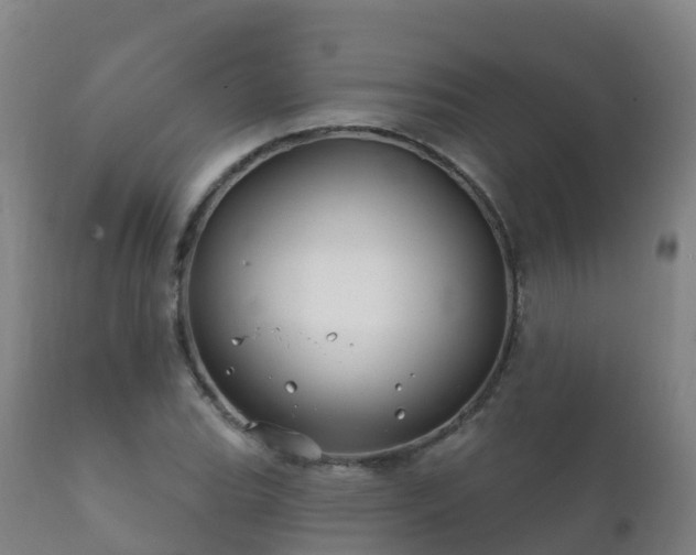 X0000112361119200908201456