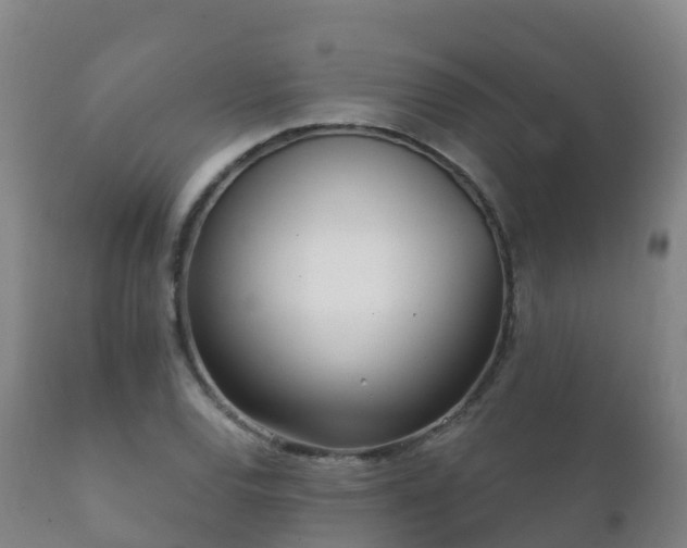 X0000112361120200908201456