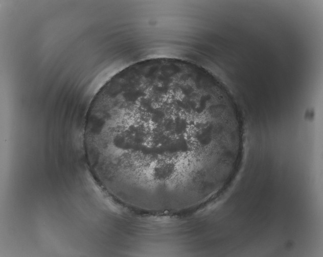 X0000112361121200908201456