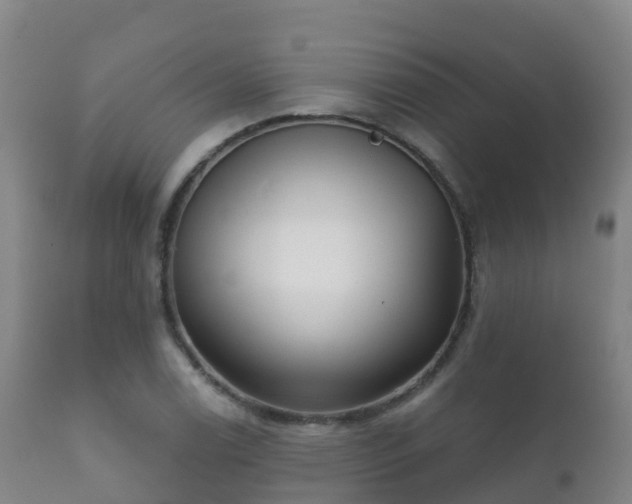 X0000112361122200908201456