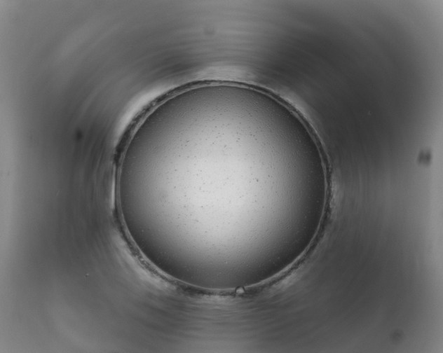 X0000112361123200908201456