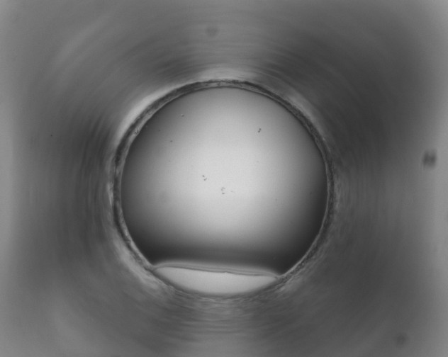 X0000112361124200908201457