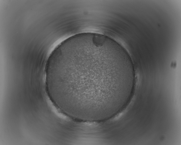 X0000112361125200908201457