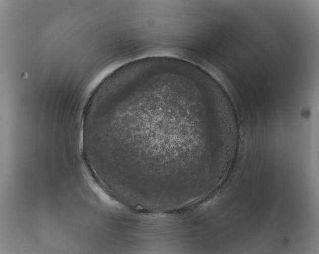 X0000112361127200908201457