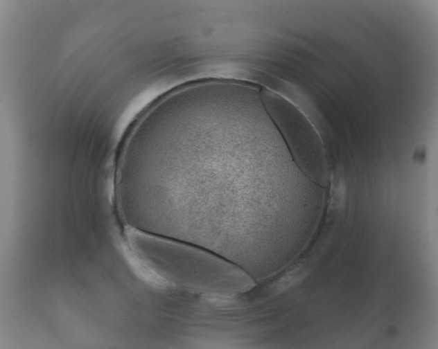 X0000112361128200908201457