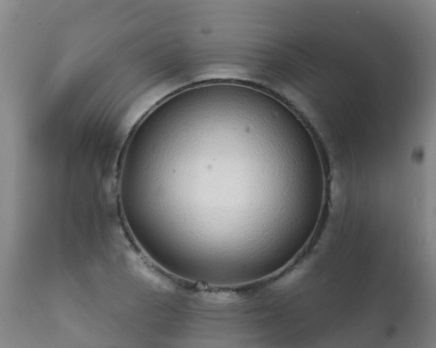 X0000112361129200908201457