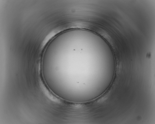 X0000112361130200908201457