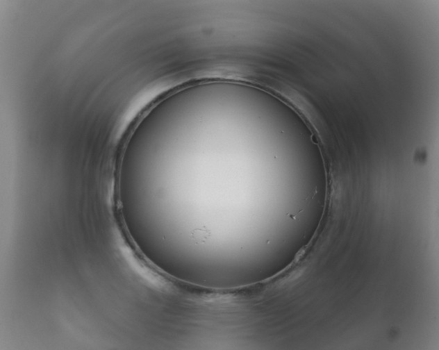 X0000112361131200908201457