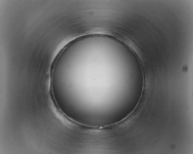 X0000112361132200908201457