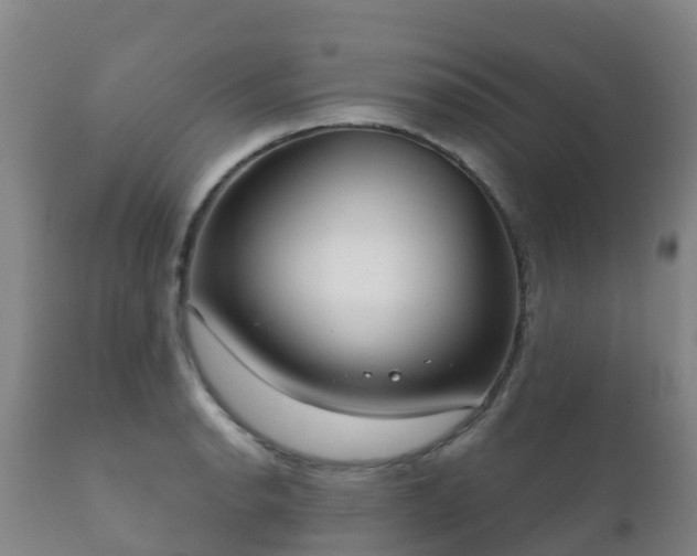 X0000112361134200908201457