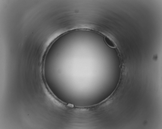 X0000112361135200908201457