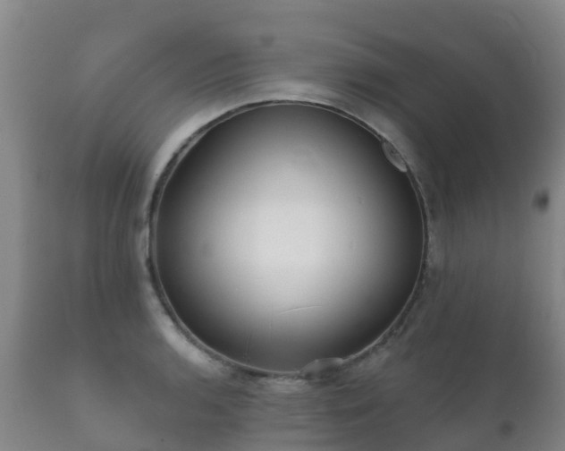 X0000112361136200908201457